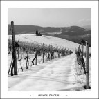 Inverni toscani Inverni toscani