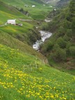 Paesaggio svizzero Paesaggio svizzero