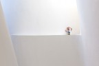 Il Fotografo Il Fotografo