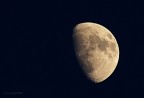 Luna... ci riprovo Luna... ci riprovo