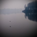 Il grande fiume a Piacenza Il grande fiume a Piacenza