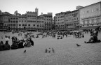 Il Turismo secondo i piccioni Il Turismo secondo i piccioni