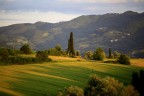 colline mugellane colline mugellane