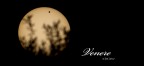 Venere Venere
