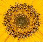 Esplosione di luce Esplosione di luce