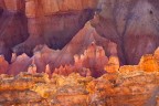 Bryce