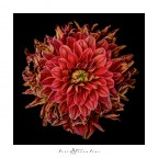 per tutta la vita... per tutta la vita...