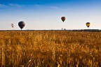 Una giornata straordinaria iniziata con un volo di mongolfiere, per assistere ad una vorticosa esibizione di acrobazie aeree, paracadutismo e vele ad elica.