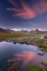 pennellata di colore