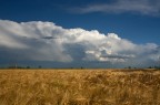 Dopo il temporale.... Dopo il temporale....