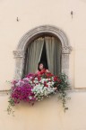 Donna alla finestra Donna alla finestra