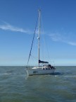 Barca che entra in portocanale a Cervia.