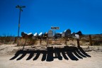 All'interno del Joshua tree N.P. Caifornia. 2012