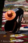 INFIORATA 2012 INFIORATA 2012