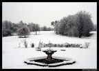 al parco dopo una nevicata 5 al parco dopo una nevicata 5