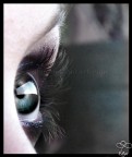 my eye again, secretly looking at you.....

photo: me

"..That's my soul up there.."