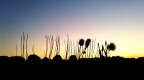 Al tramonto