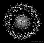 Il big-bang Il big-bang