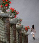 fiori rossi x te! fiori rossi x te!