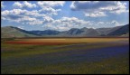Castelluccio di Norcia Castelluccio di Norcia