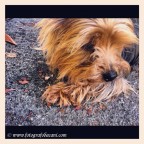 Dormire??? Dormire???