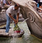 Il venditore di rose Il venditore di rose