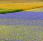 Impressionismo fotografico Impressionismo fotografico