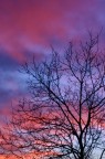 tramonto