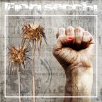 FIORI SECCHI FIORI SECCHI