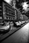 Il viale Il viale