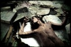 Fallen Angel