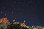 Questo scatto  un primo esperimento di "star trails" fatto dal terrazzo di casa. Sono in totale 30 foto che immortalano il cielo notturno e sulla sinistra una parte del Monte Pizzo (o Castello) di Caltabellotta.
