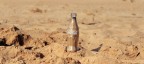 enjoy CocaCola