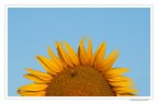 Sole nascente Sole nascente
