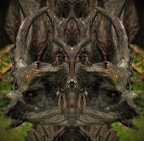 Demoni pareidolie® 2012 Demoni pareidolie® 2012