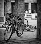 Ladri di Biciclette Ladri di Biciclette