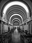 Guidata da una Luce
