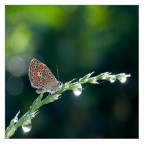 dopo il temporale.. dopo il temporale..