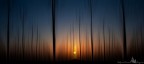Vertical panning Vertical panning