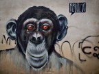 Cairate Decay - Graffiti Cairate Decay - Graffiti