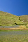 castelluccio #8 castelluccio #8
