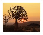 Faretra al tramonto