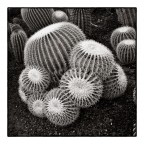 Giardino botanico La Cutura Giardino botanico La Cutura