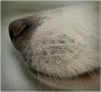 Nina's profile Nina's profile