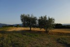 invecchiare in solitudine invecchiare in solitudine