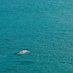 gente di mare #3 gente di mare #3