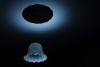 Medusa...? UFO...? Medusa...? UFO...?