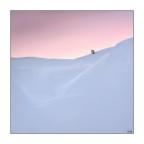 solitario solitario