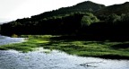 tranquillita' tranquillita'