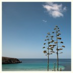 classic marina n°2 classic marina n°2